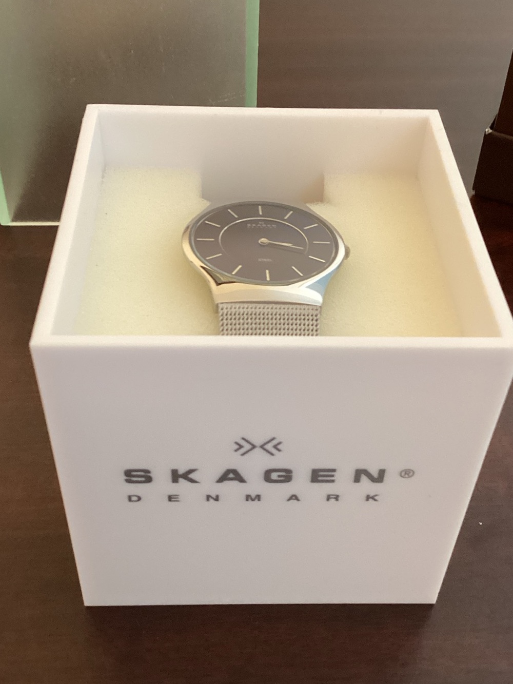 Skagen Silver Mesh Watch with Black Dial